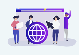 Software & CRM Systems